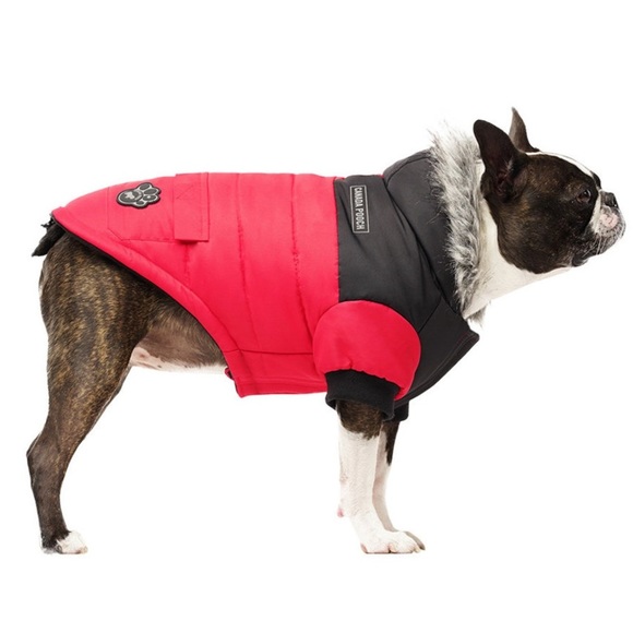 Canada Pooch size 10 dog coat parka red hood fur - Picture 1 of 8